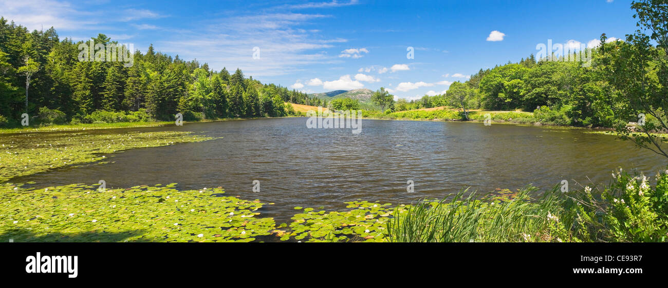 Long Pond in the summer Acadia National Park Maine. Stock Photo