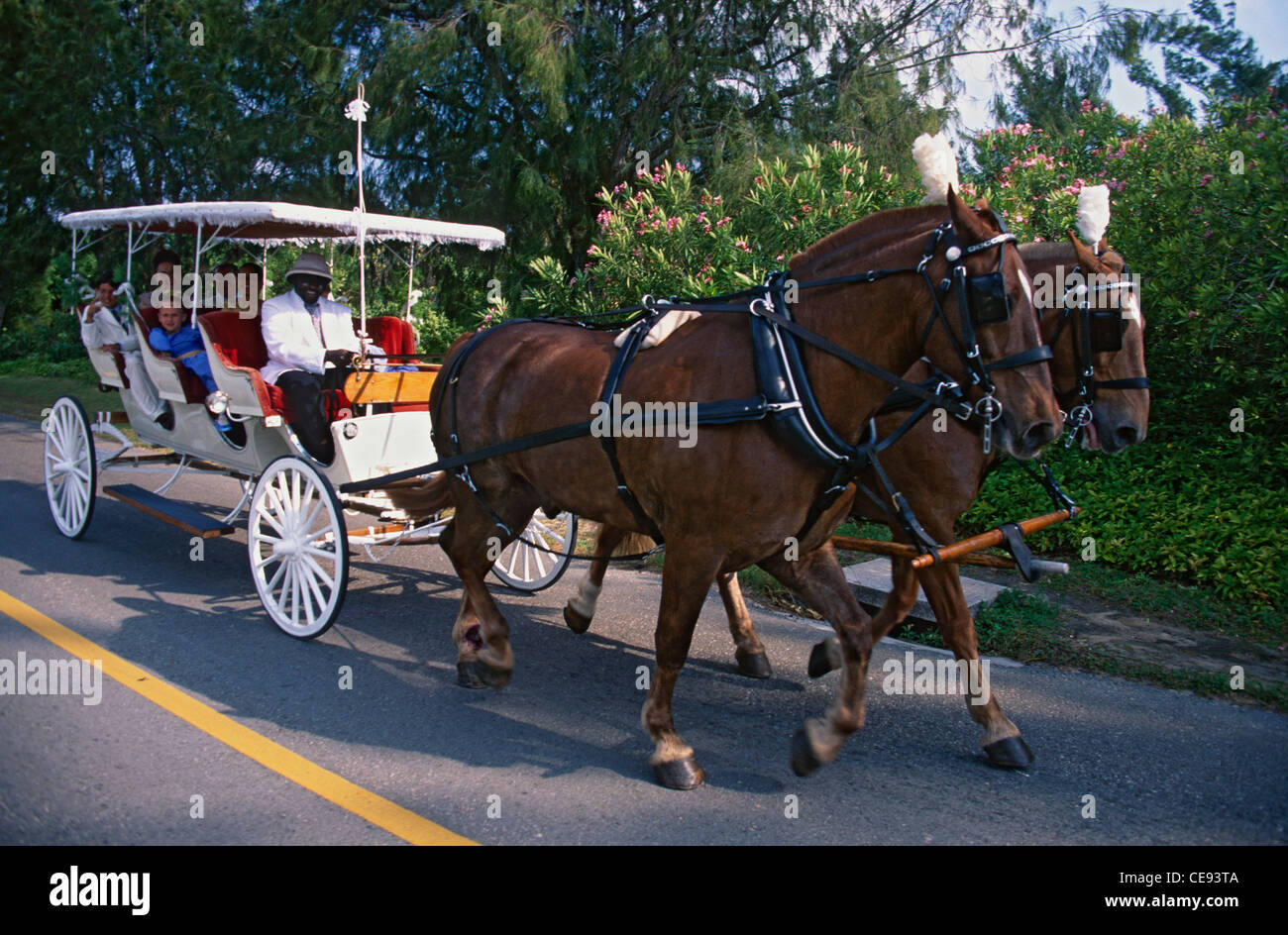 Excursion in a Horse Carriage Stock Photo