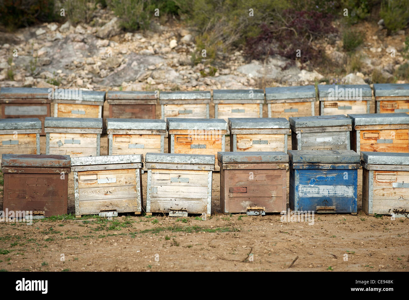 Wooden beehives in rows, Spain Stock Photo Alamy