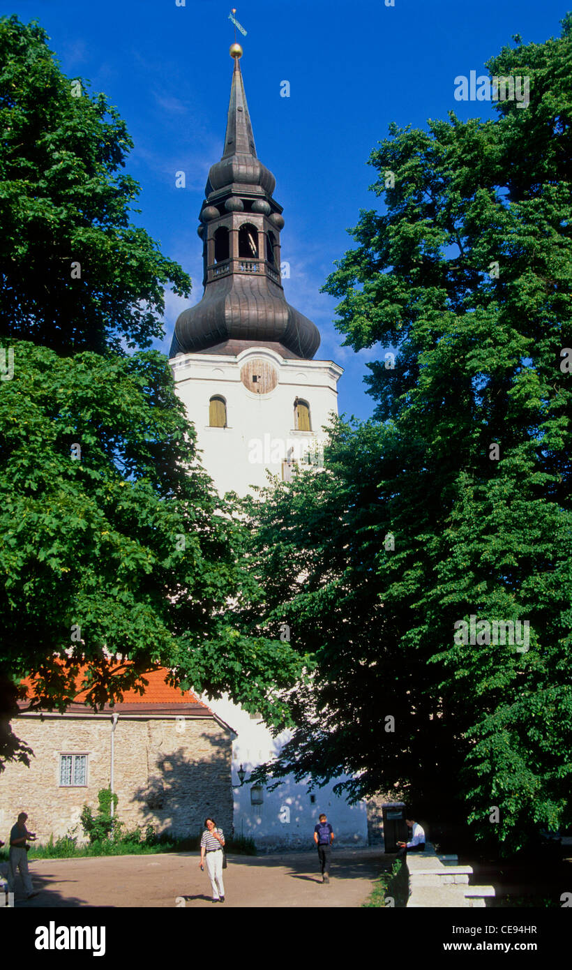 St Mary's Cathedral in Tallinn Stock Photo