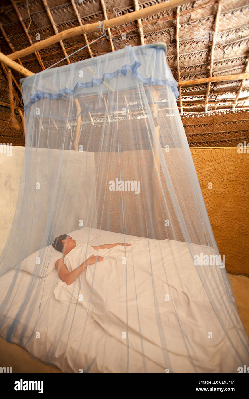 Woman sleeping under a mosquito net beach cabana Tangalla Sri Lanka Stock Photo