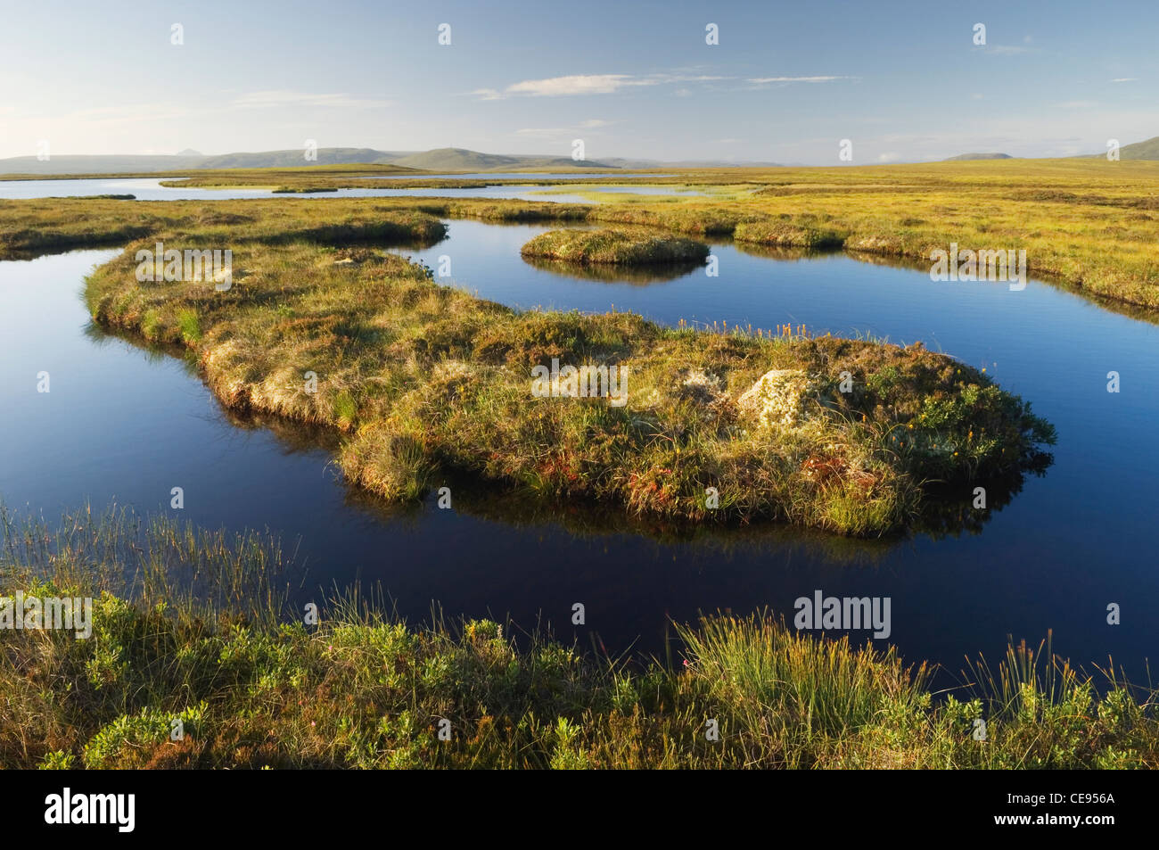 Flow Country or Peatlands at Forsinard, Sutherland, Scotland. Stock Photo