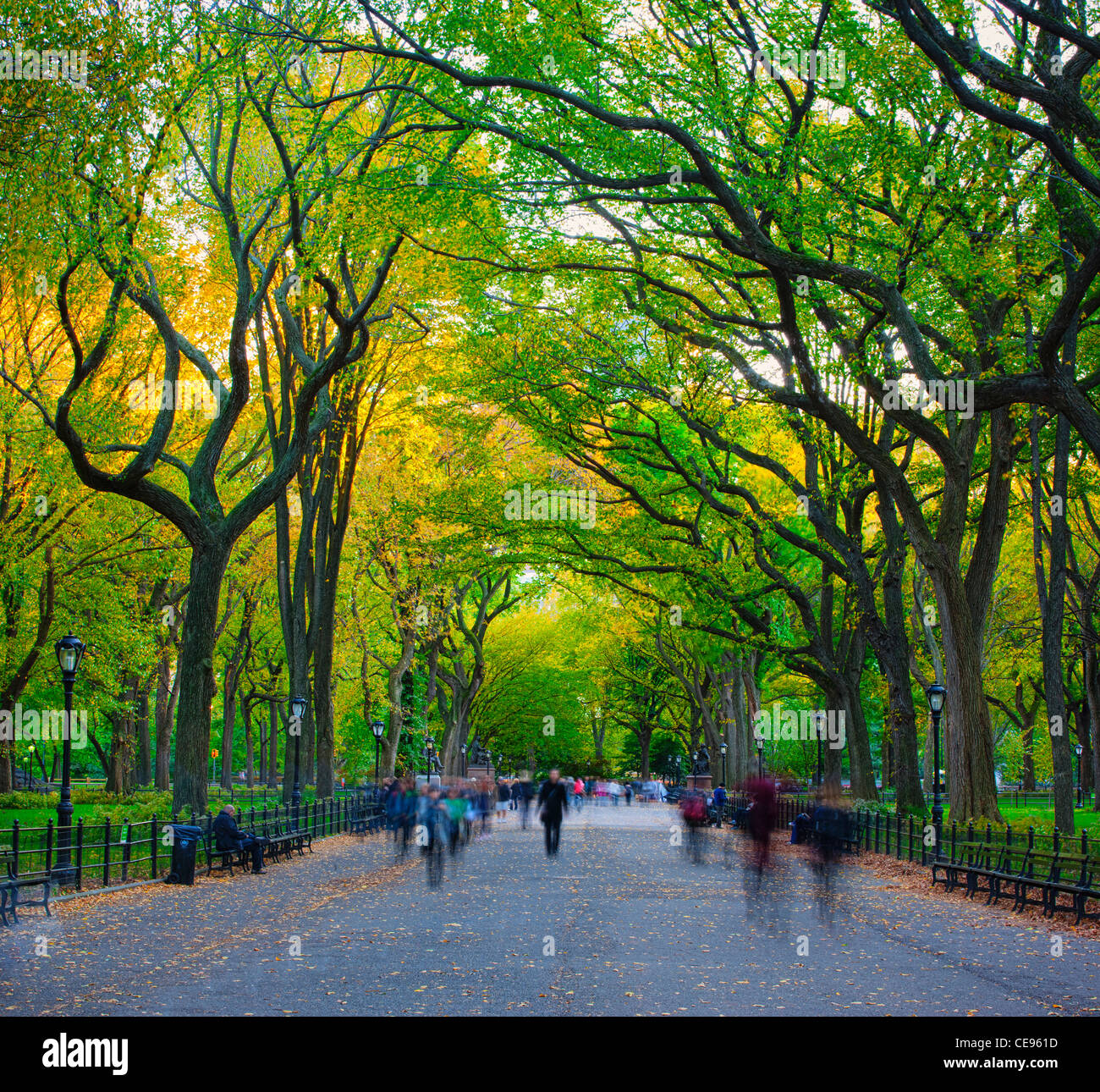The Mall and Literary Walk, Central Park Stock Photo