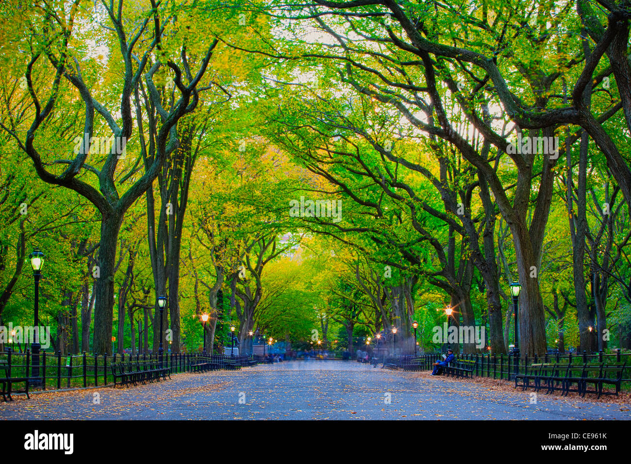 The Mall and Literary Walk, Central Park Stock Photo