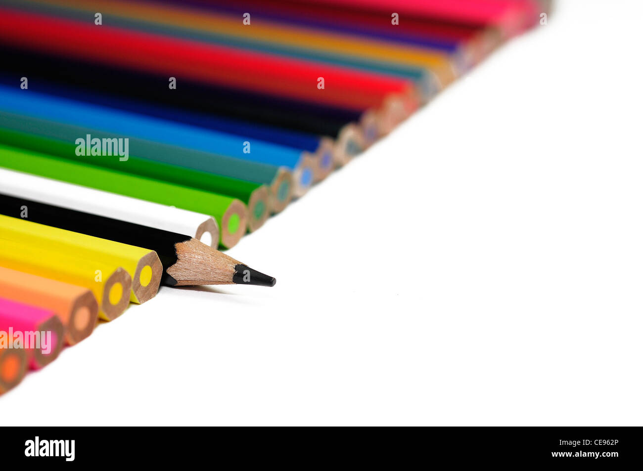 colored pencils and a distinctive black, black sheep Stock Photo