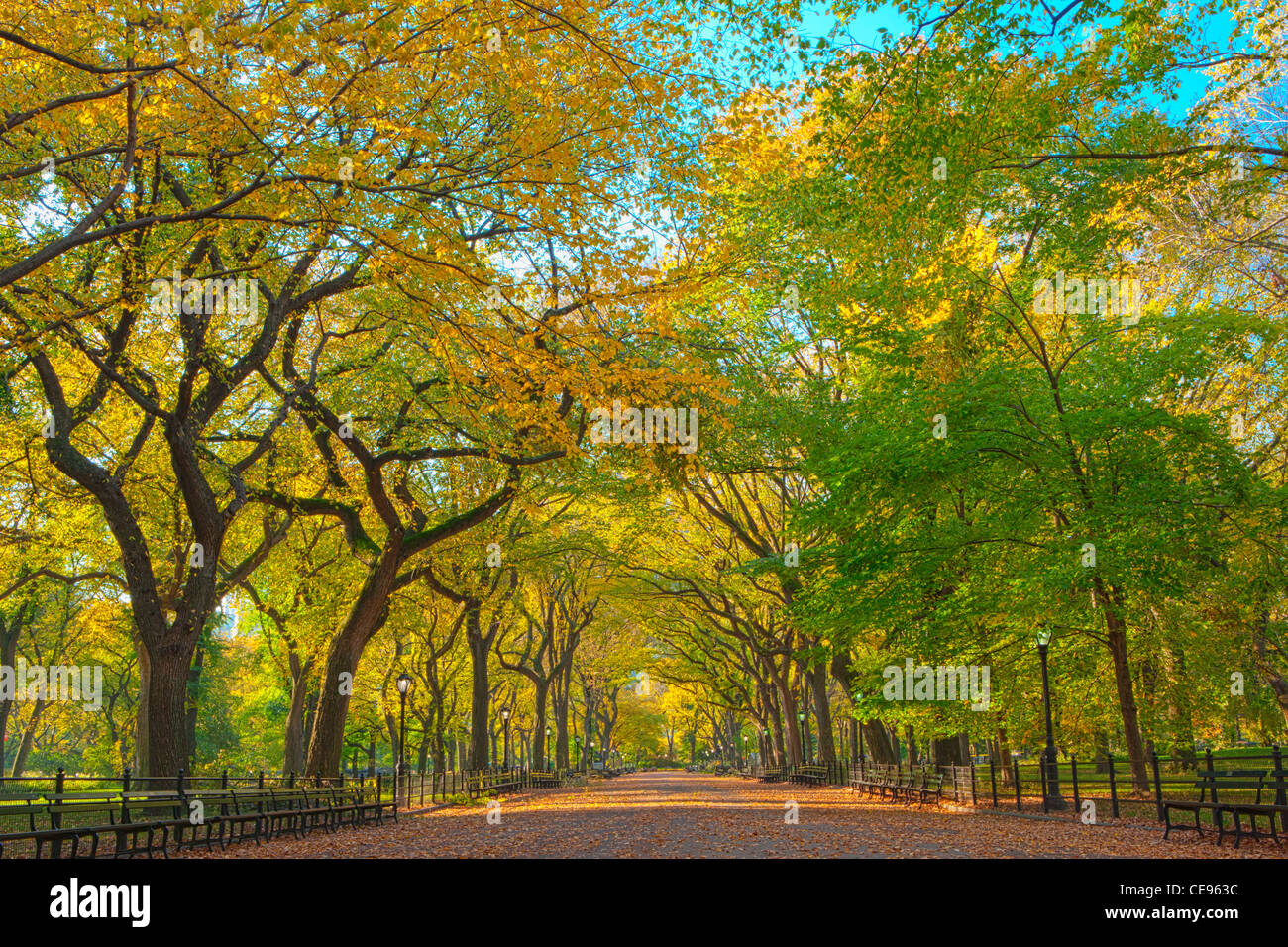 Literary Walk in Autumn colors, Central Park Stock Photo