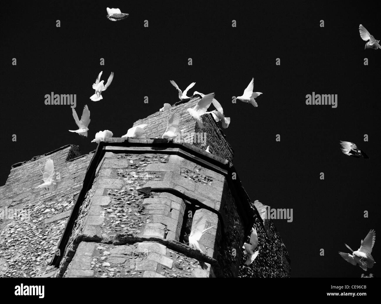 Birds in flight around a stone church tower. Stock Photo
