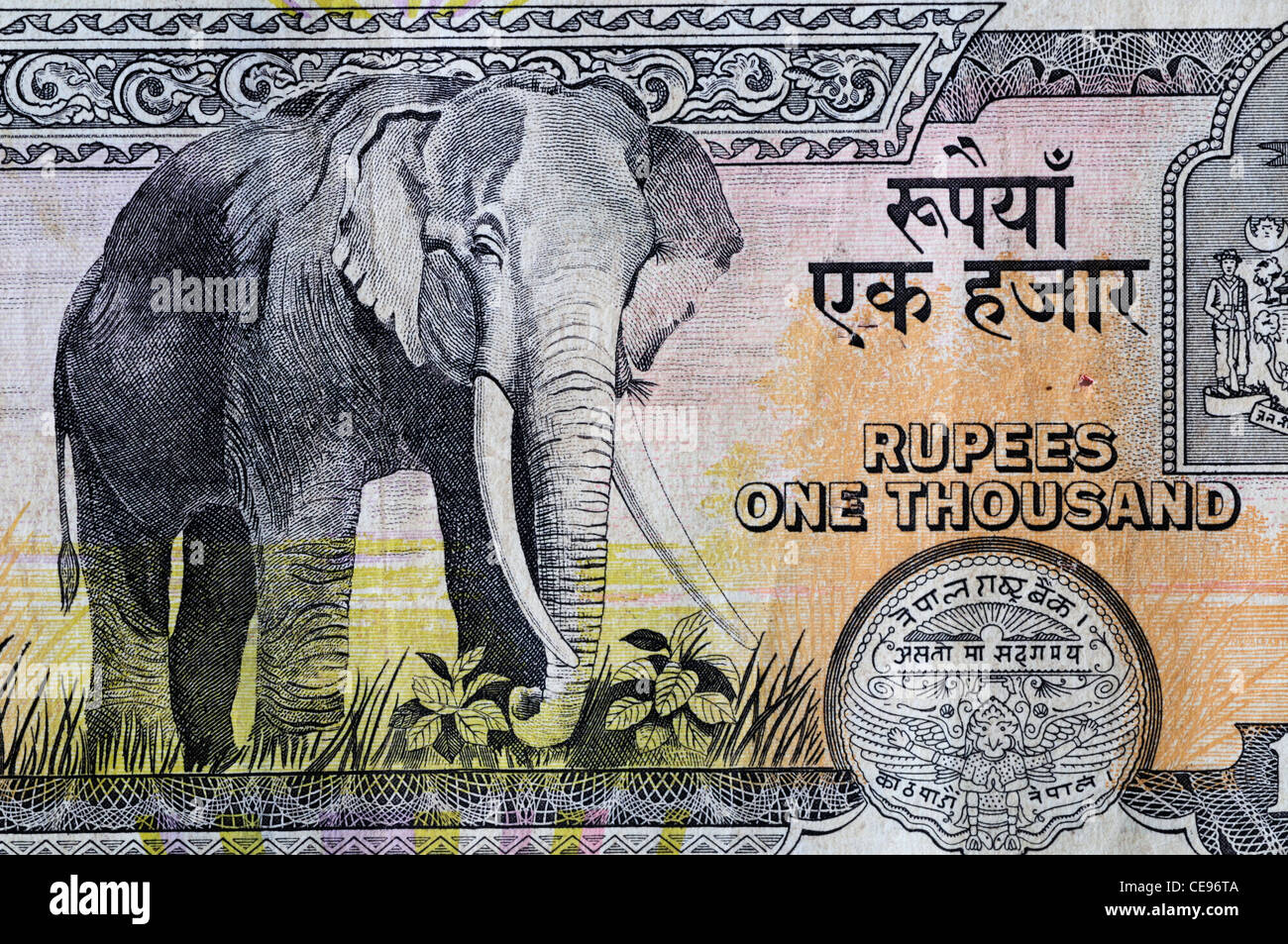 1000 Rupees High Resolution Stock Photography And Images Alamy