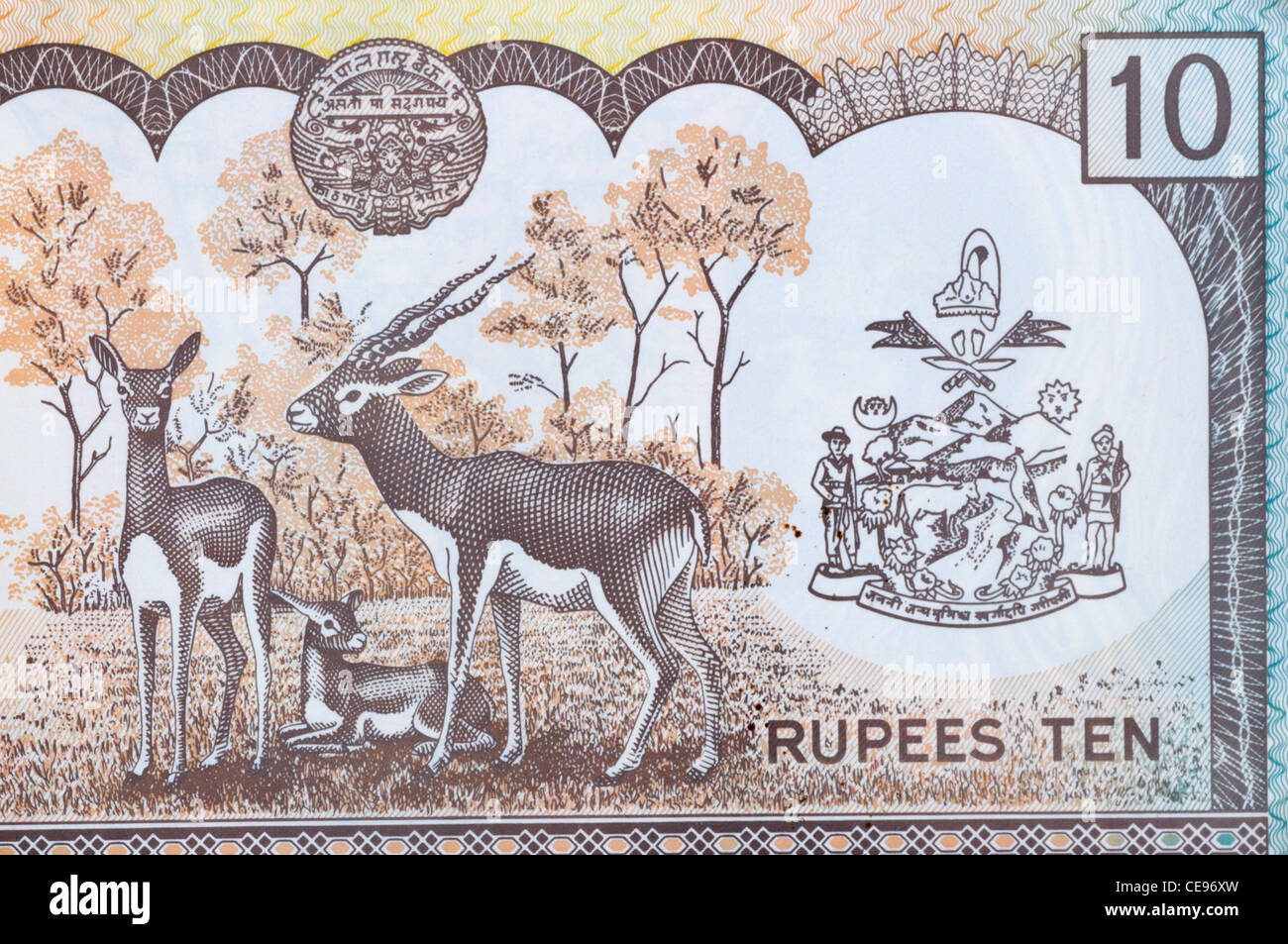 Nepal 10 Rupees Banknote Stock Photo