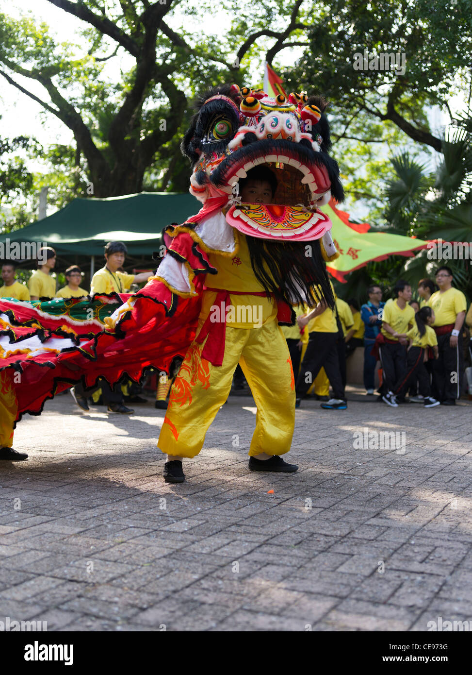 dh Kowloon Park HK TSIM SHA TSUI HONG KONG Far east Chinese boys lion dance display china asiatic Stock Photo