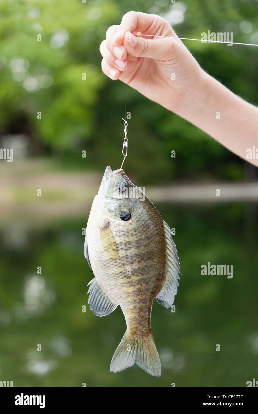 Fish hook arm hi-res stock photography and images - Alamy