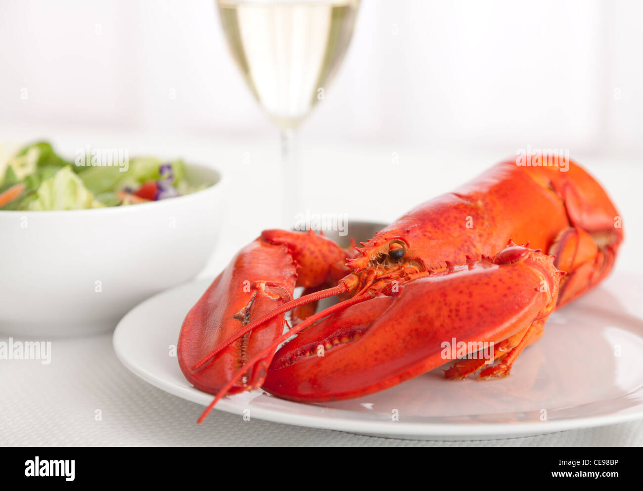 Lobster still life hires stock photography and images Alamy