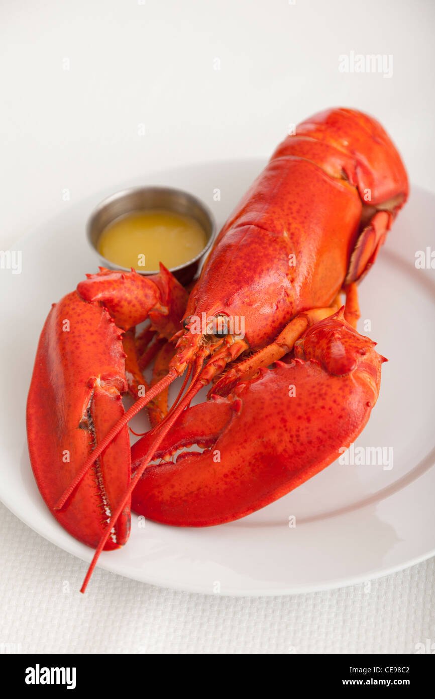 USA, Illinois, Metamora, Lobster on plate Stock Photo
