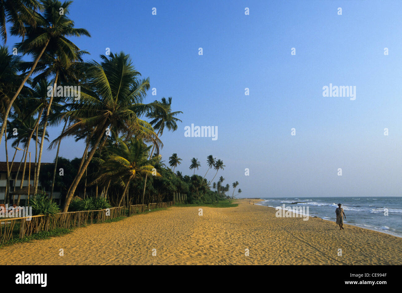 Kalutara Beach Sri Lanka Stock Photo 43230671 Alamy