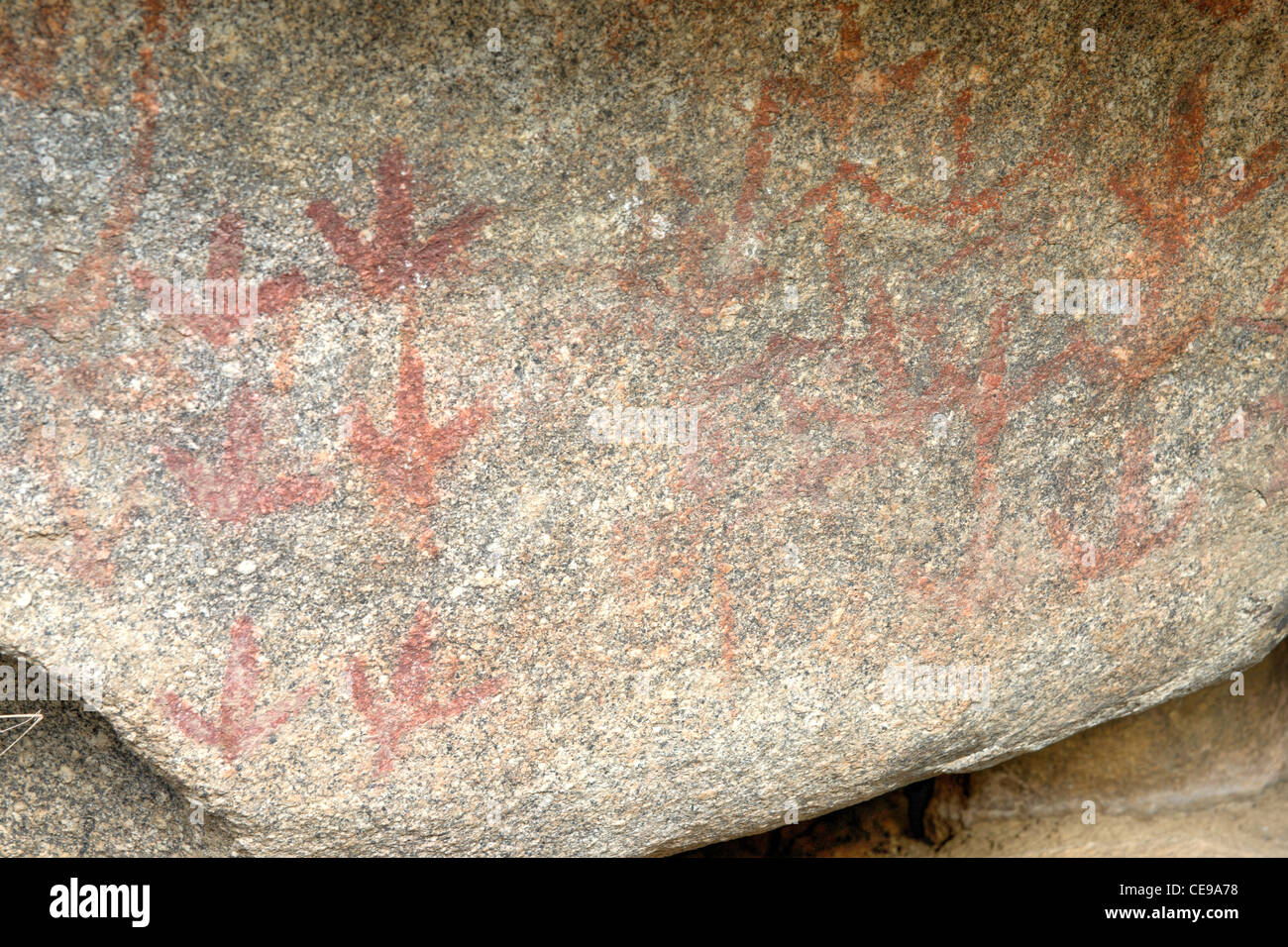 australian aboriginal rock art in mount yarrowitch Stock Photo