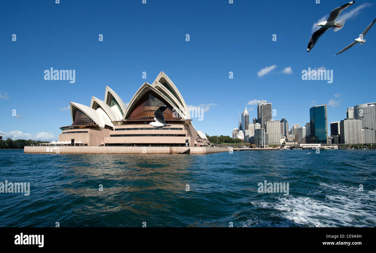 sydney opera house tourist travel location australia australian iconic Stock Photo