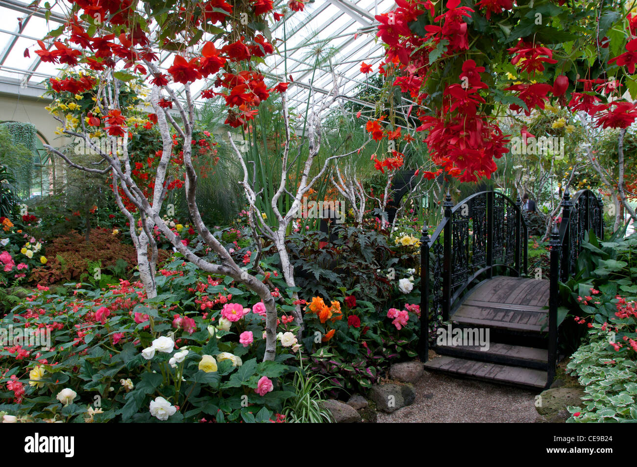 Conservatory in the Fitzroy Gardens Melbourne Australia Stock Photo Alamy