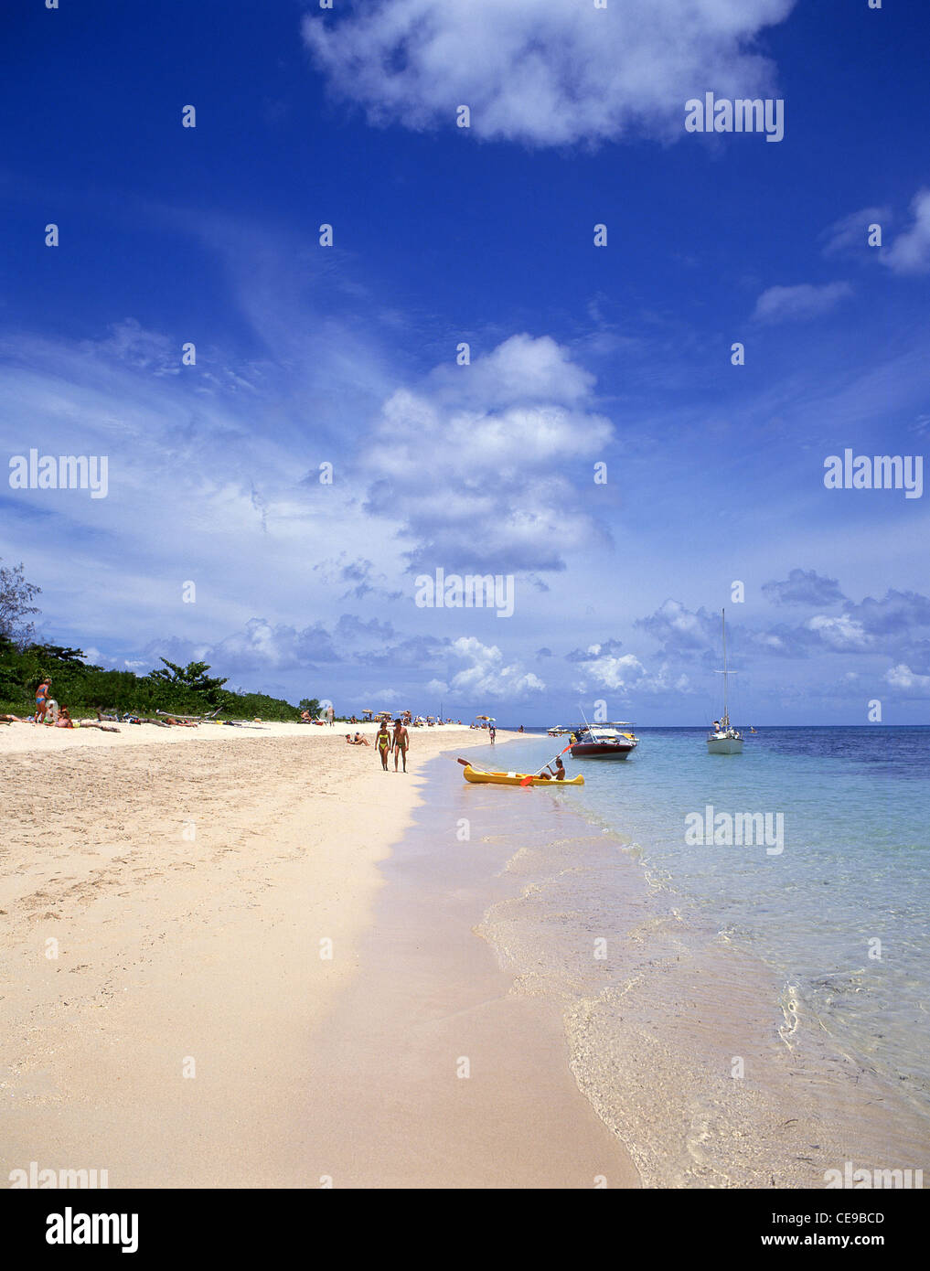 Coral cay Reinfern Beach, Green Island, Great Barrier Reef Marine Park, Queensland, Australia Stock Photo