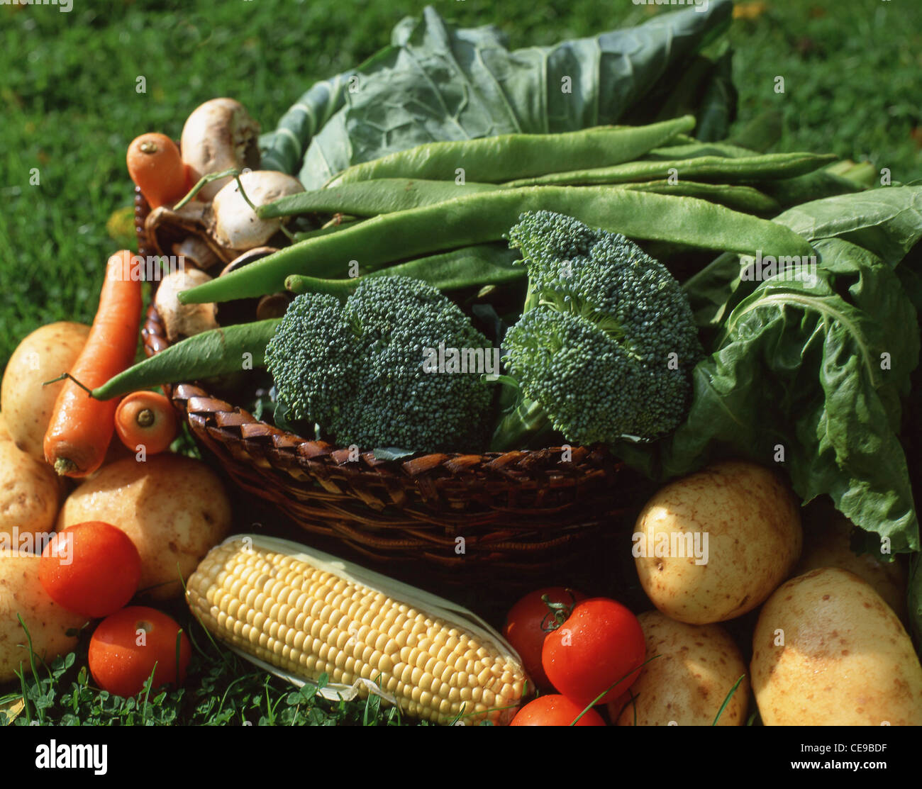 Basket full of vegetables, Berkshire, England, United Kingdom Stock Photo