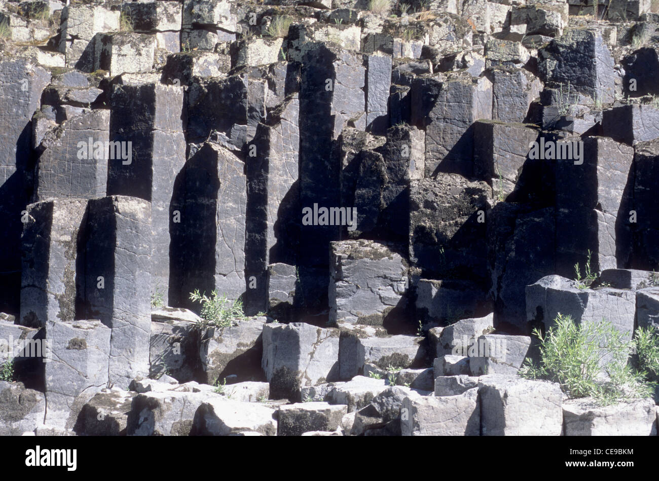 Columnar basalt  along lower Salmon River, Idaho Stock Photo
