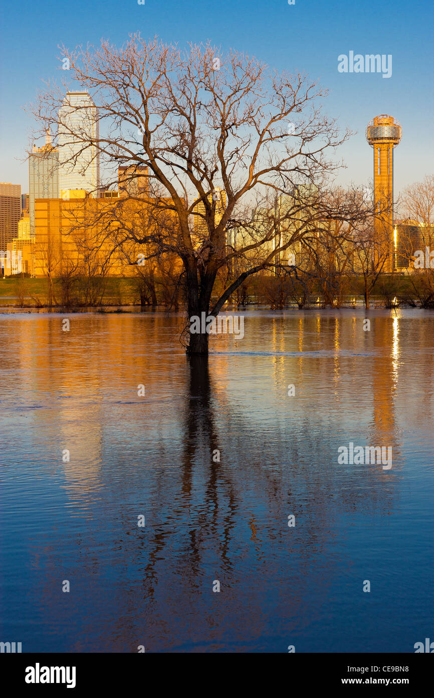 Dallas Skyline At Night High Resolution Stock Photography and Images ...