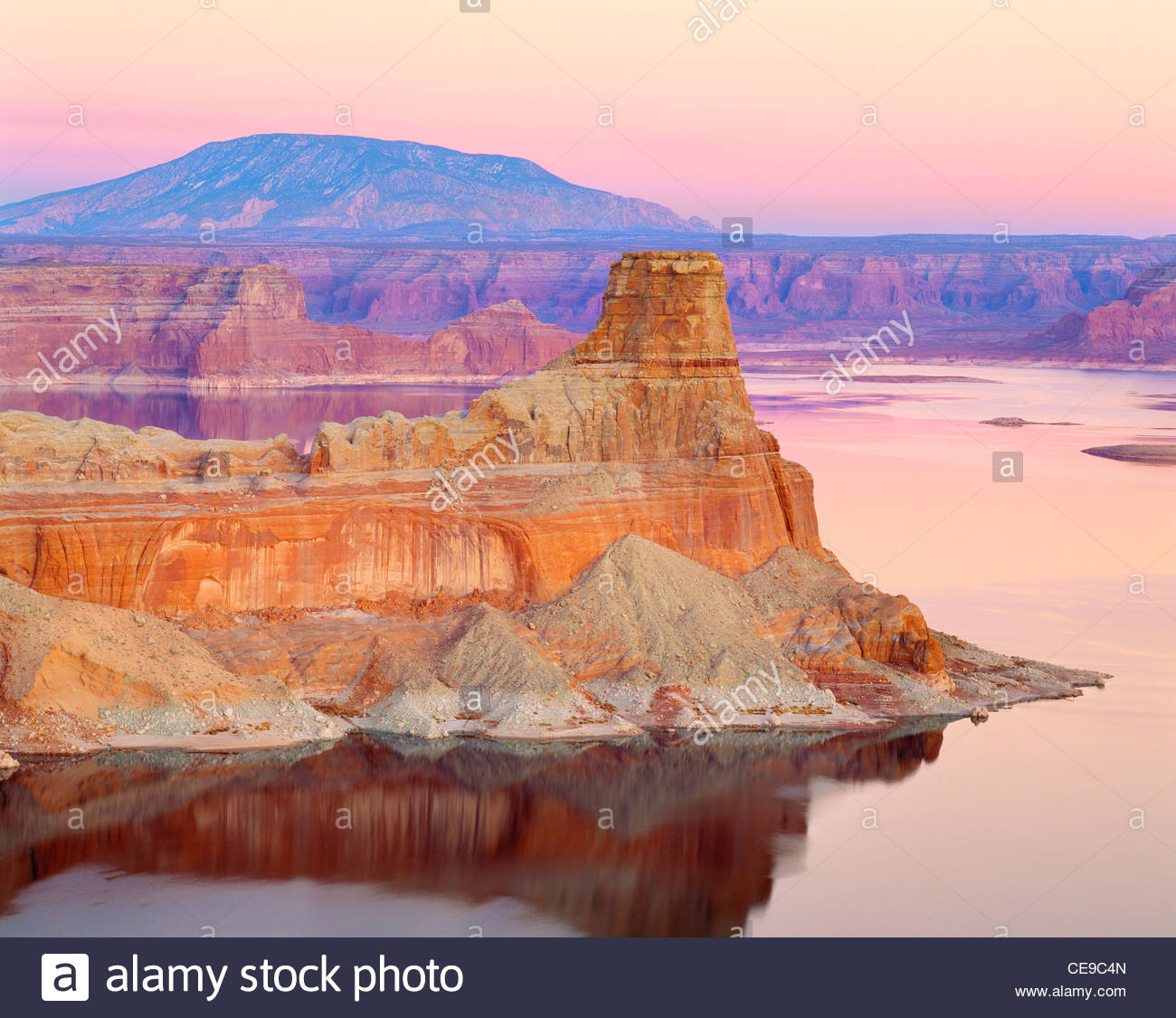 My Image 15