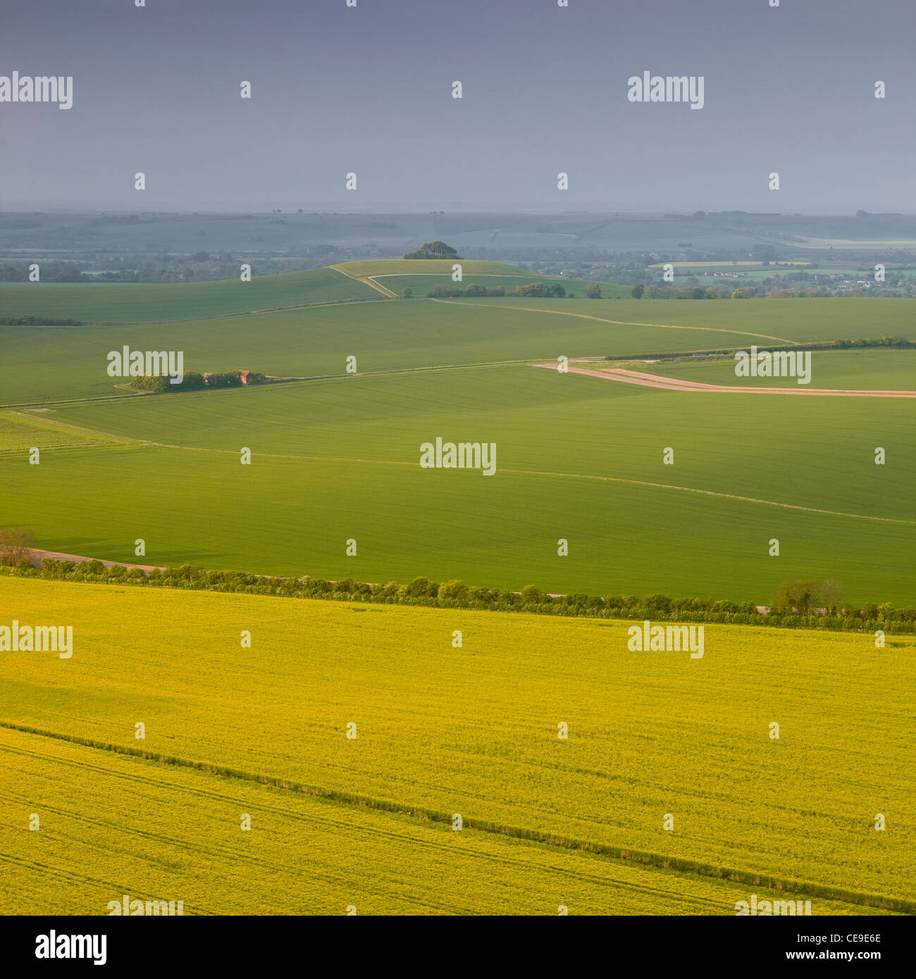 Looking across the Vale of Pewsey in Wiltshire from Knapp Hill Stock
