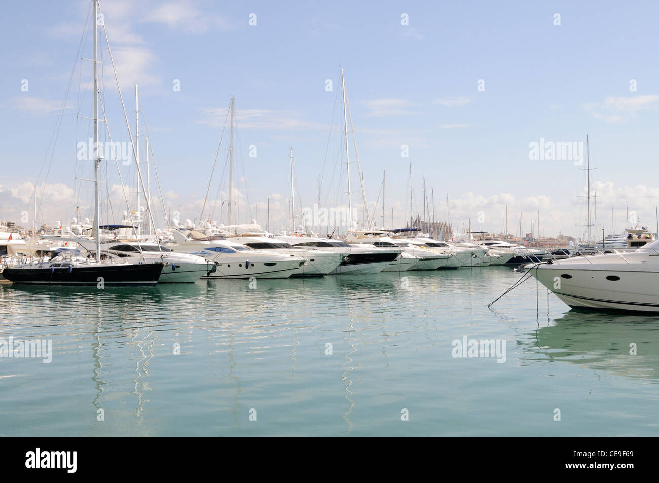 Marina mit Yachten in Palma auf Mallorca, Spanien, Europa. | Marina with yachts in Palma on Majorca, Spain, Europe. Stock Photo