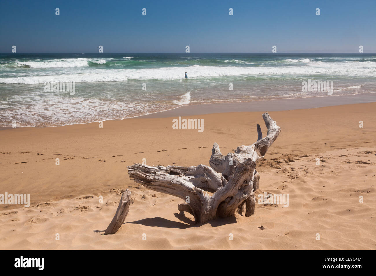 beach, Brenton on Sea, Knysna, Garden Route, South Africa Stock Photo