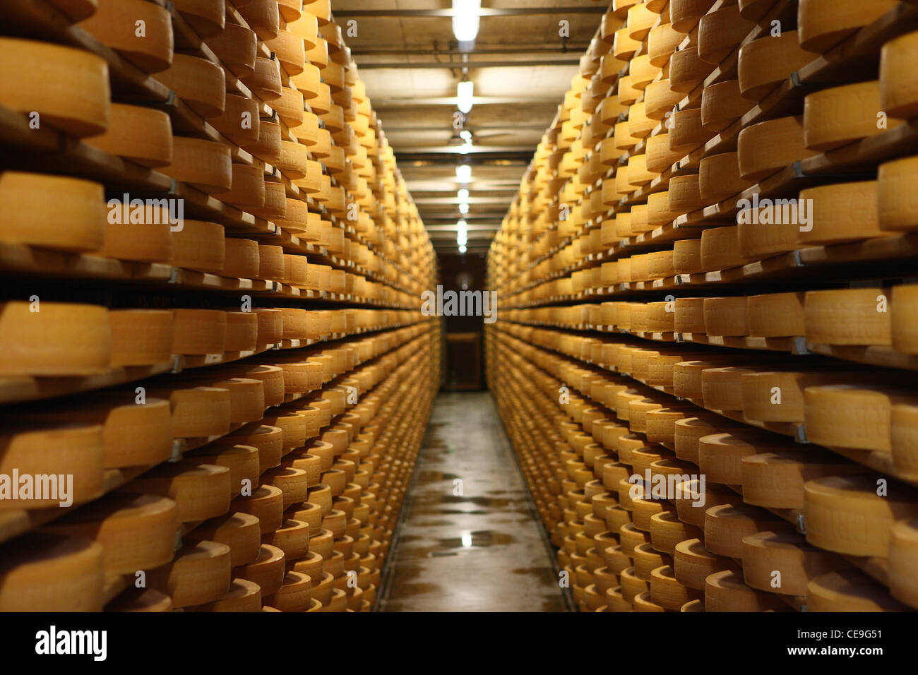 Cheese factory in Gruyères, Switzerland. Cheese ripening on the shelves. Stock Photo