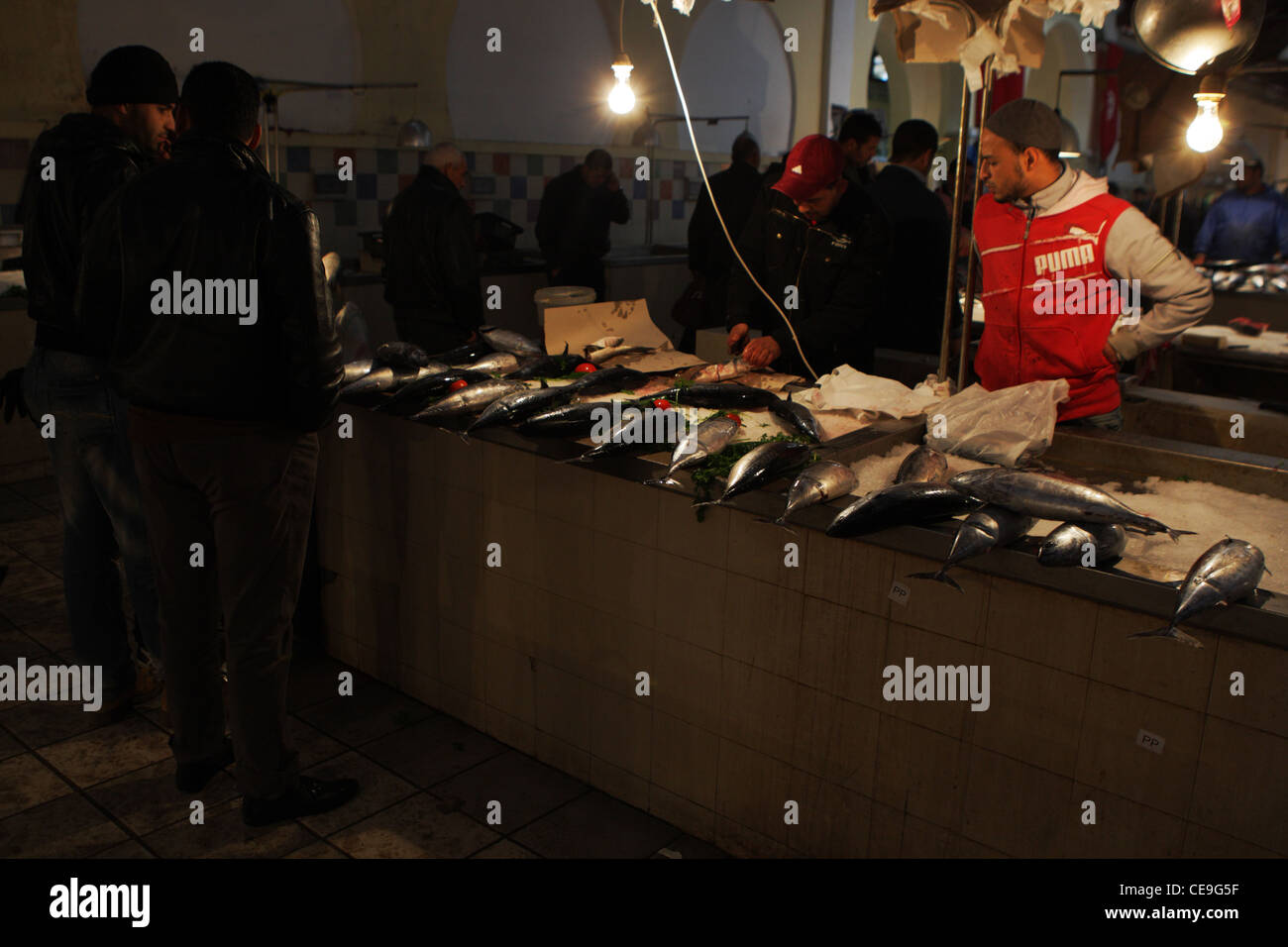 Tunis fish marked. Stock Photo