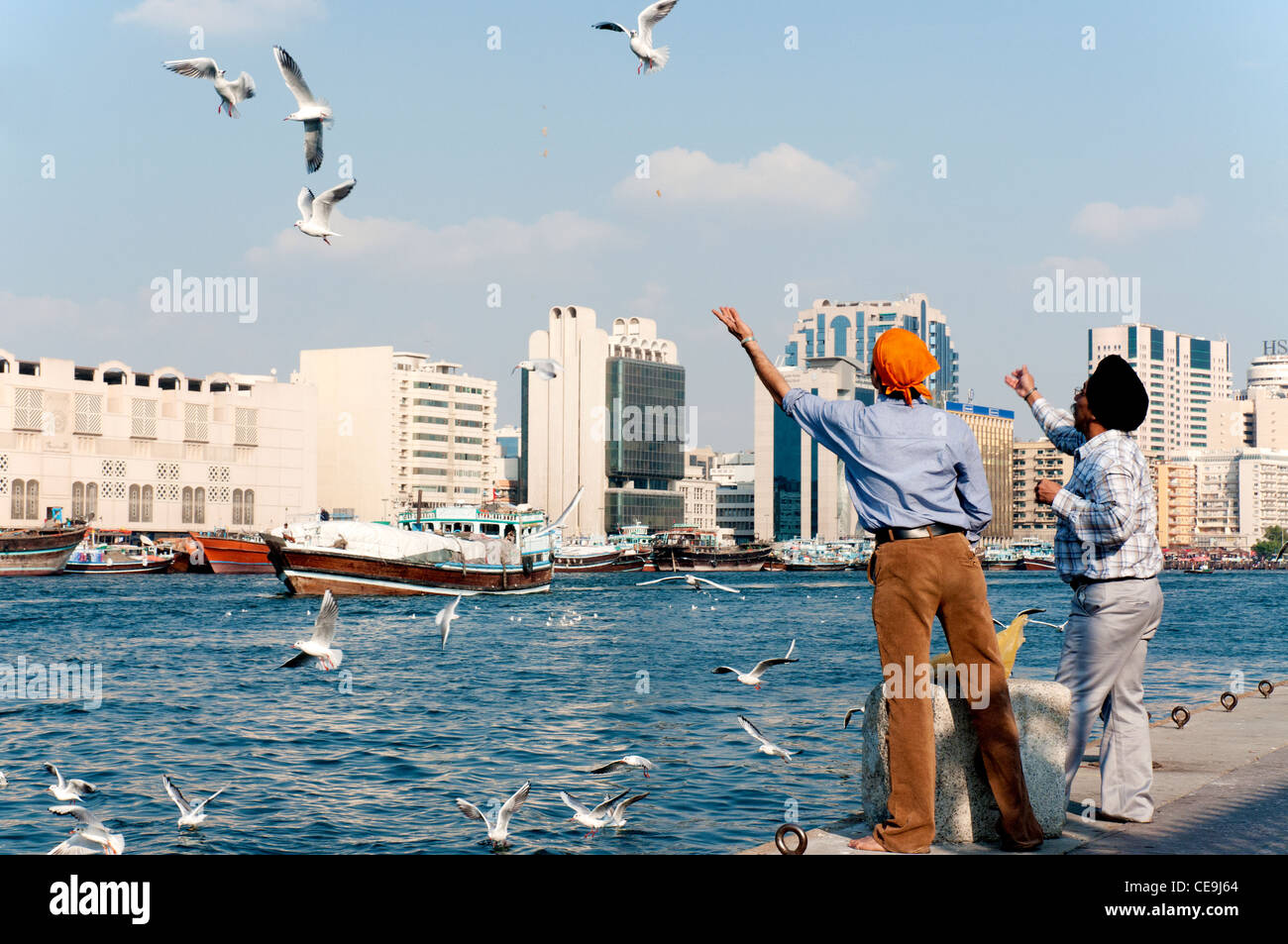 Men feeding seagulls at Dubai Creek, Dubai, United Arab Emirates, Stock Photo