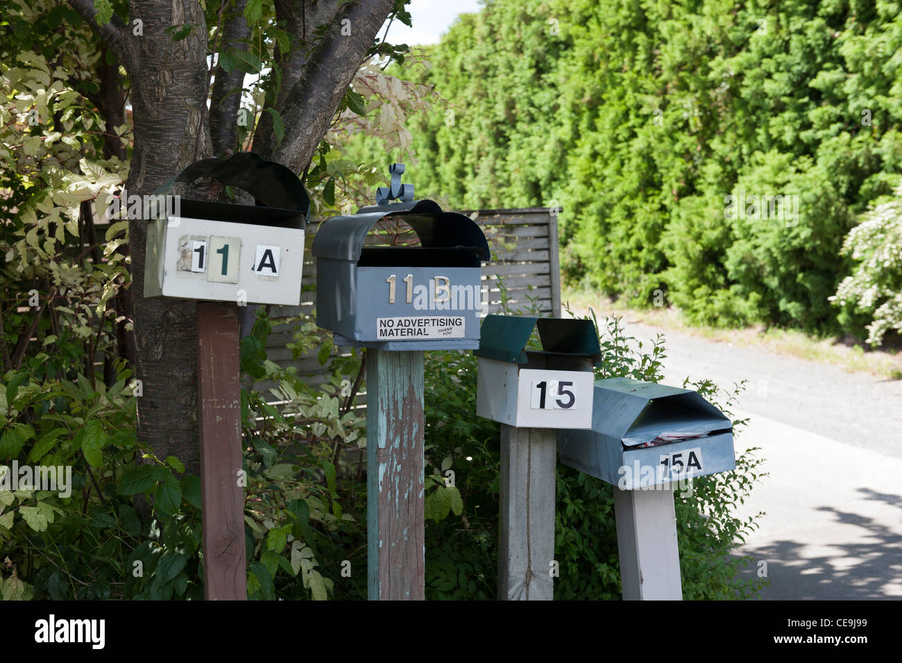 Four mailboxes at the start of a shared driveway in Tauranga, New