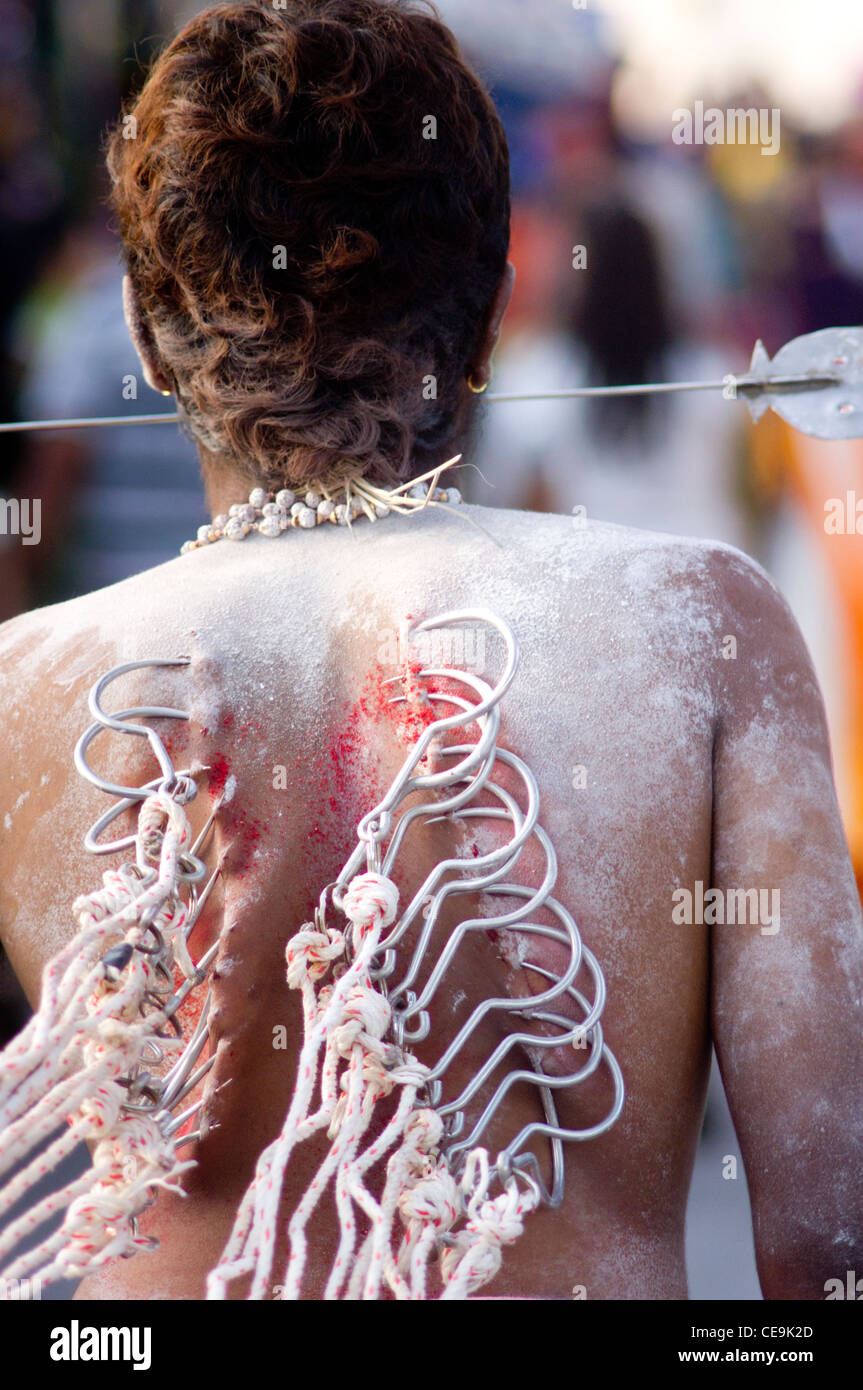 Thaipusam festival, hooks were pierced and attached on body of devotee. Penang, Malaysia 2011 Stock Photo