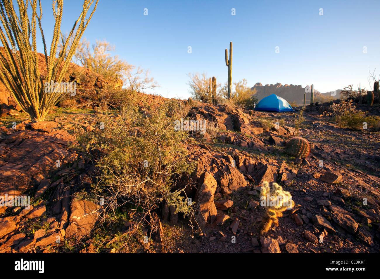 Camping in the Sonoran Desert, Ironwood National Monument, RaggedTop