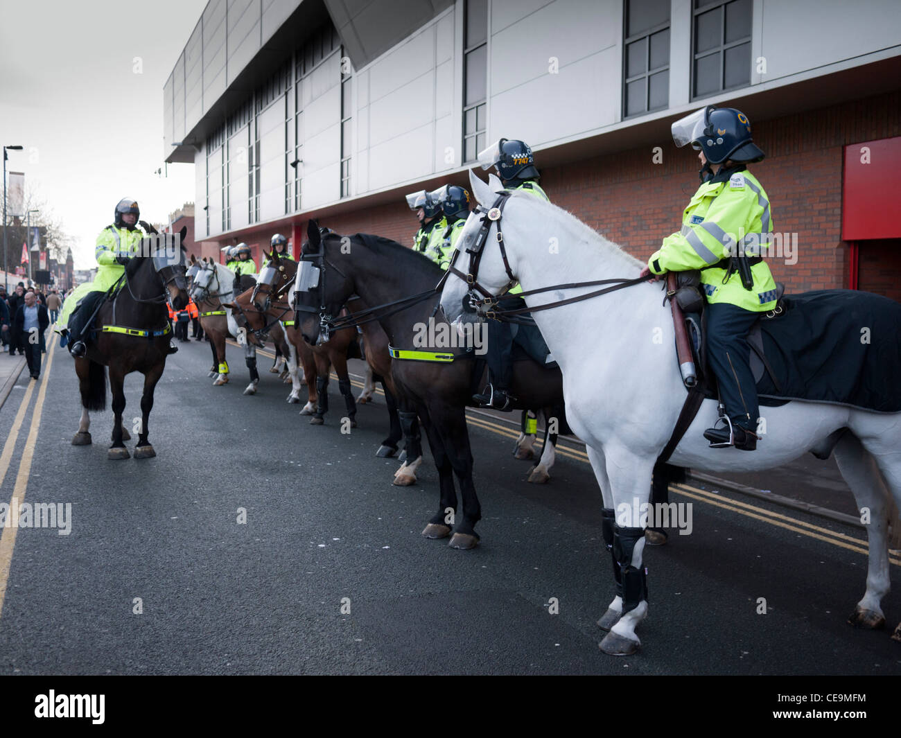 Police horses and mounted police outside Anfield football club