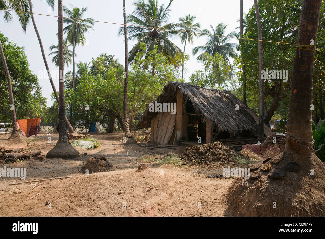 Traditional rural life in the village of Arpora, Goa Stock Photo