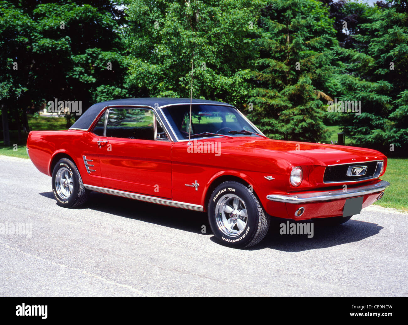 1966 Ford Mustang Stock Photo - Alamy
