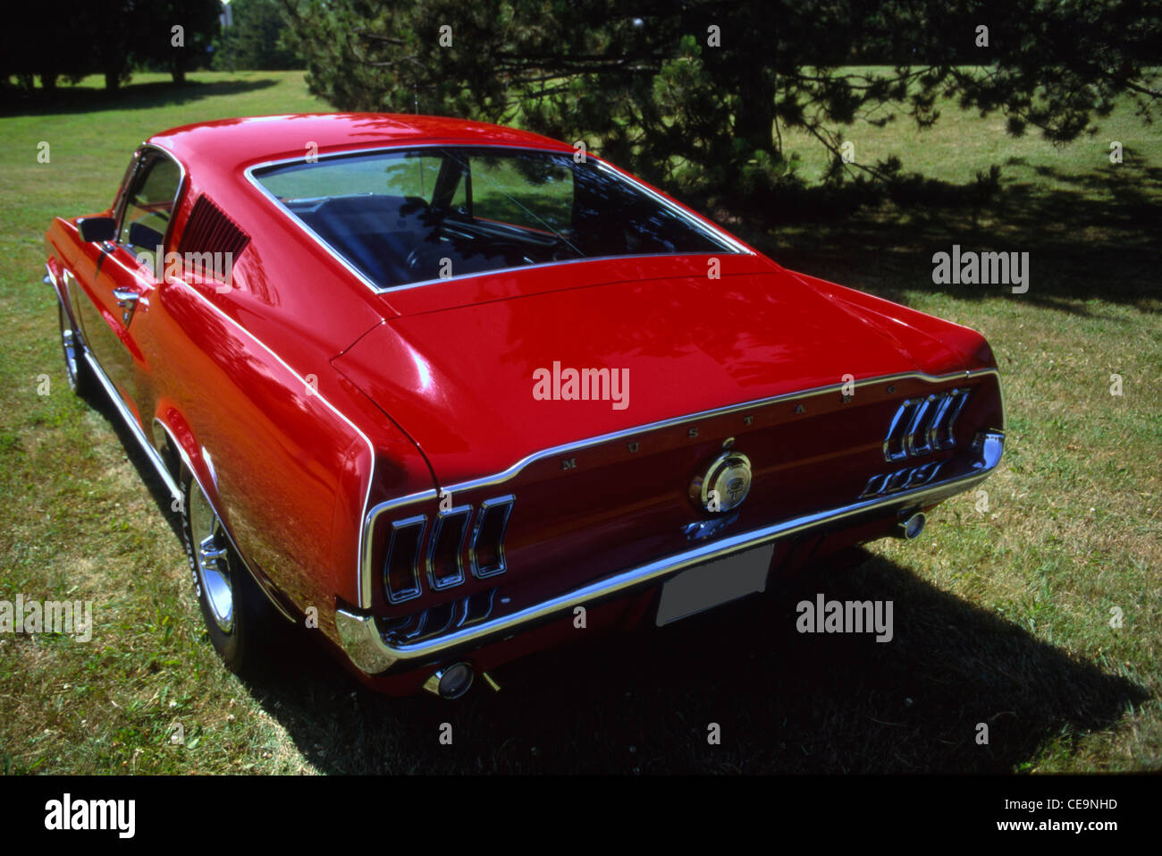 1967 ford mustang fastback hi-res stock photography and images - Alamy
