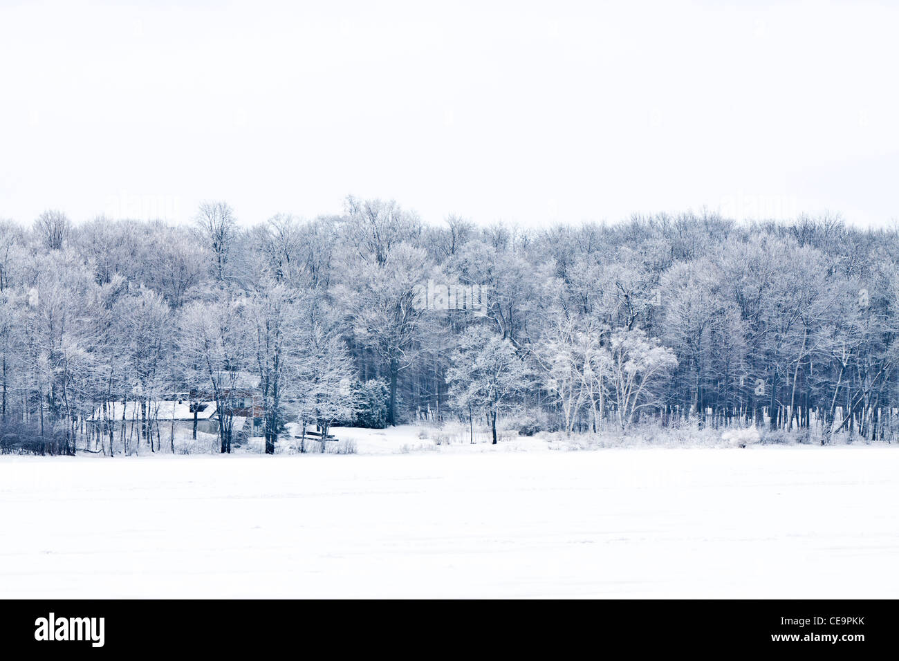 House in the snowy forest Stock Photo - Alamy