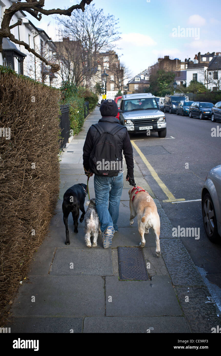 Dog walker pavement hires stock photography and images Alamy