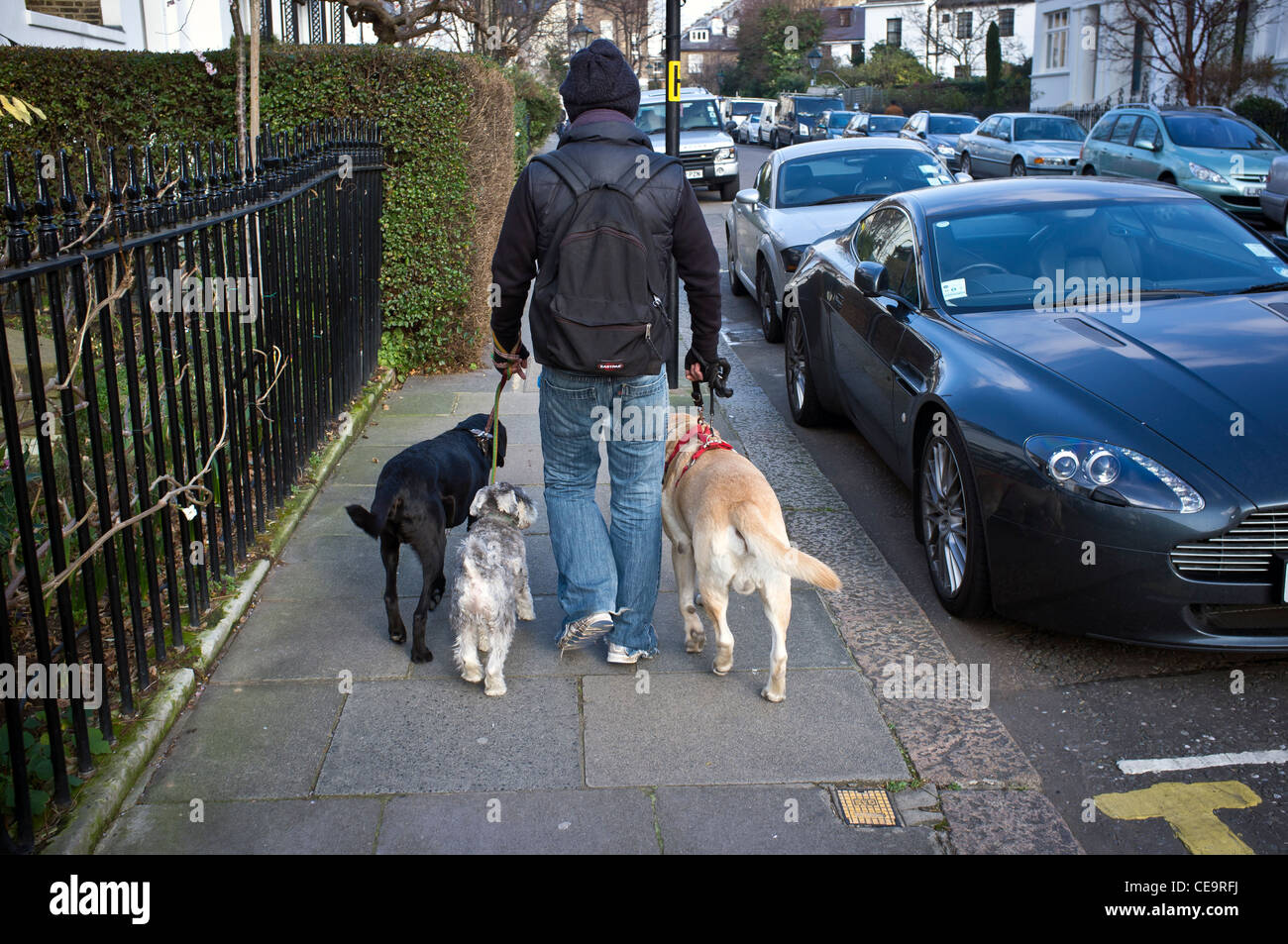 Dog walker pavement hires stock photography and images Alamy