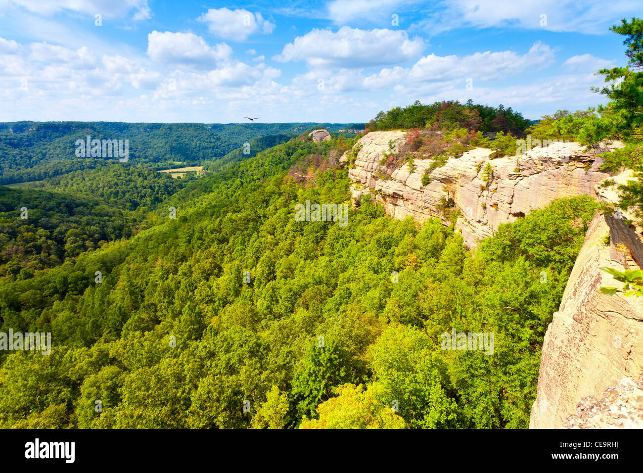Red River in Kentucky Stock Photo Alamy