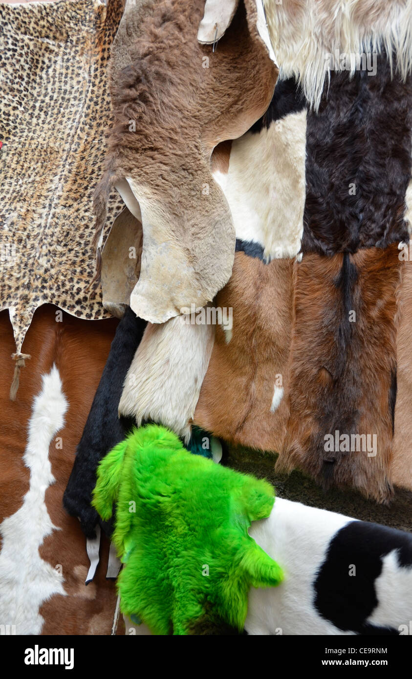 Animal skin rug hi-res stock photography and images - Alamy Animal skin rug hi-res stock photography and images - Alamy