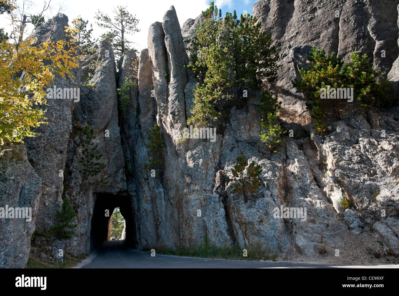 Tunnel, Needles Highway, Custer State Park, South Dakota Stock Photo 43242263 Alamy