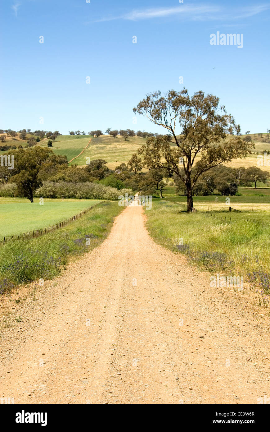 A lonely country track near Cootamundra, in New South Wales, Australia Stock Photo