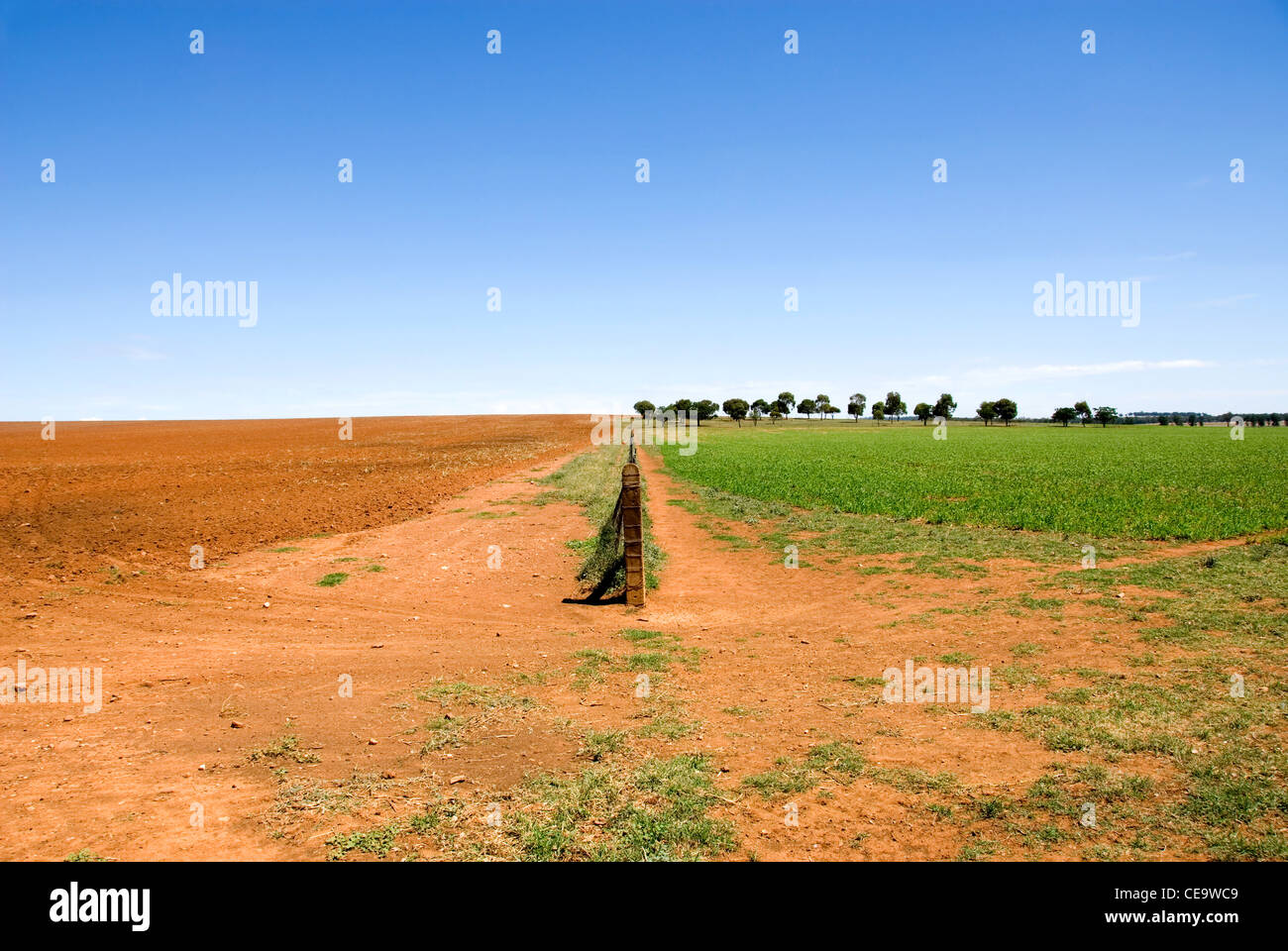A fence dividing two paddock in farmland near Cootamundra in New South Wales, Australia Stock Photo
