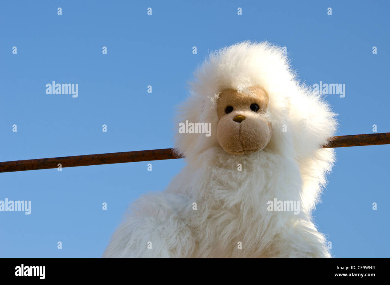 Bushy white plush monkey doll on background of blue sky Stock Photo