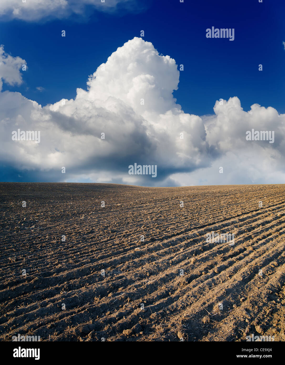 black ploughed field under cloudy sky Stock Photo - Alamy