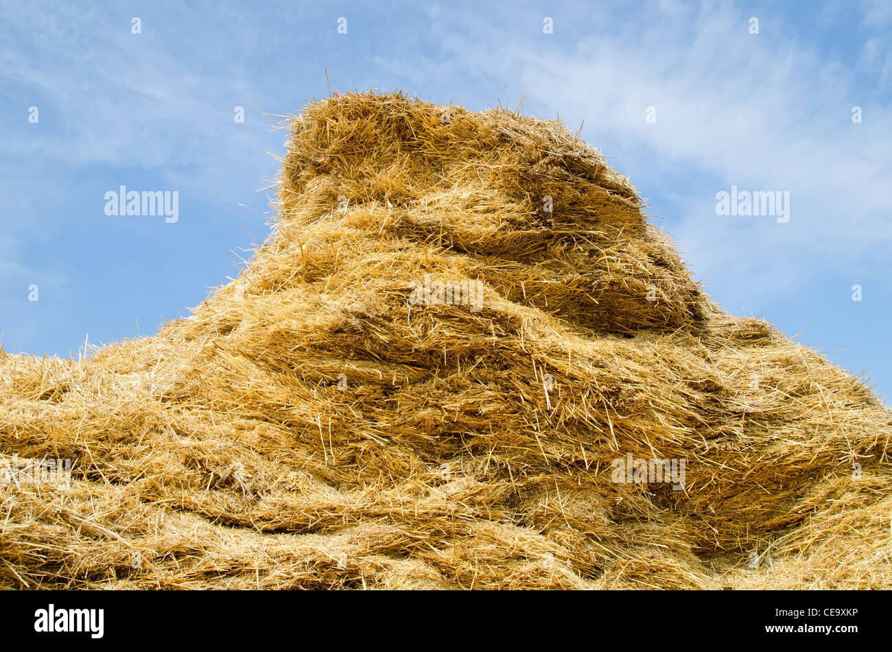 stack of straw on a background blue sky with clouds Stock Photo - Alamy
